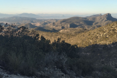 photo_12_2025-01-19_18-23-57