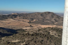 photo_13_2025-01-19_18-23-57