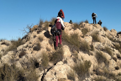 photo_14_2025-01-19_18-23-57