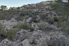 photo_19_2025-01-19_18-23-57