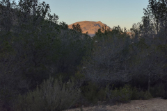 photo_1_2025-01-19_18-23-57