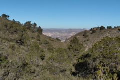 photo_1_2025-01-19_18-24-18