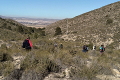photo_20_2025-01-19_18-23-57