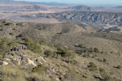 photo_2_2025-01-19_18-23-38
