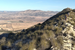 photo_2_2025-01-19_18-23-57