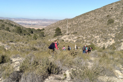 photo_2_2025-01-19_18-24-18