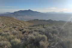 photo_4_2025-01-19_18-23-38