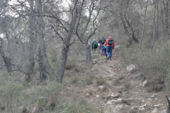 photo_4_2025-01-19_18-24-18