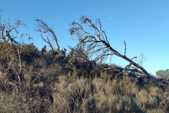 photo_5_2025-01-19_18-23-38