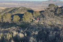 photo_5_2025-01-19_18-23-57
