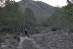 photo_5_2025-01-19_18-24-18