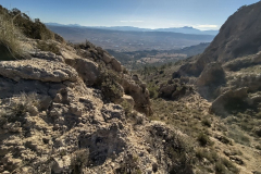 photo_7_2025-01-19_18-23-38