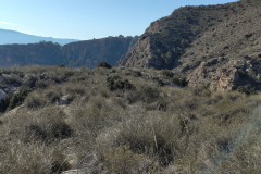 photo_7_2025-01-19_18-23-57