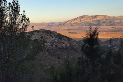 photo_8_2025-01-19_18-23-57