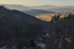 photo_8_2025-01-19_18-24-18