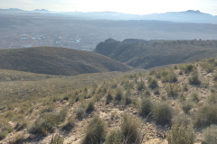 photo_9_2025-01-19_18-23-57