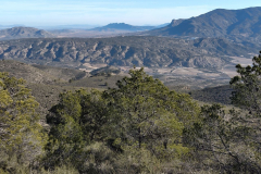 photo_9_2025-01-19_18-24-18