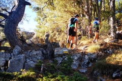 Screenshot_20200825_072137