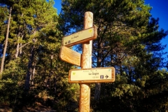 Screenshot_20200825_090756