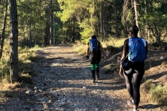 Screenshot_20200825_093928