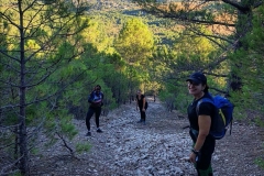 Screenshot_20200825_094341