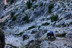 Screenshot_20200825_094658