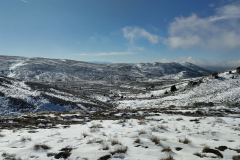 photo_11_2025-02-03_17-52-11