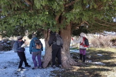 photo_14_2025-02-03_17-52-11