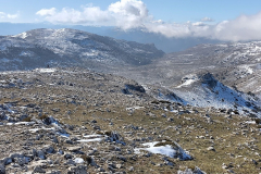 photo_15_2025-02-03_17-52-11