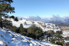 photo_17_2025-02-03_17-52-11