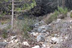 photo_18_2025-02-03_17-52-11