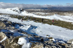 photo_22_2025-02-03_17-52-11