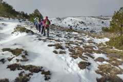 photo_23_2025-02-03_17-52-11