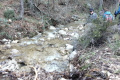 photo_25_2025-02-03_17-52-11