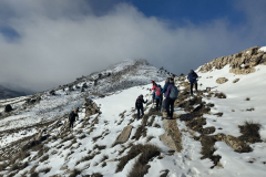 photo_26_2025-02-03_17-52-11