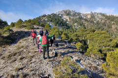 photo_27_2025-02-03_17-52-11