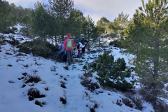 photo_29_2025-02-03_17-52-11