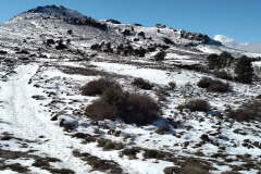 photo_2_2025-02-03_17-52-11