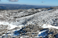 photo_30_2025-02-03_17-52-11