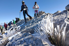 photo_31_2025-02-03_17-52-11