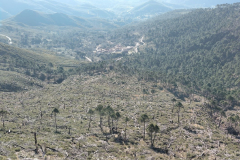 photo_32_2025-02-03_17-52-11