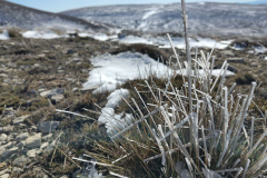 photo_33_2025-02-03_17-52-11