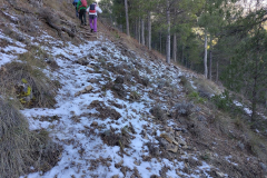 photo_35_2025-02-03_17-52-11