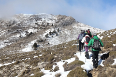 photo_36_2025-02-03_17-52-11