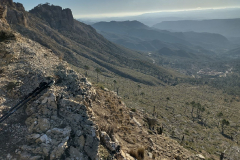 photo_37_2025-02-03_17-52-11