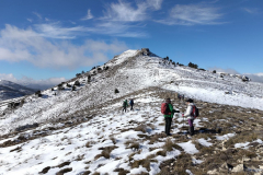 photo_38_2025-02-03_17-52-11