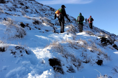 photo_39_2025-02-03_17-52-11