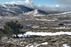 photo_3_2025-02-03_17-52-11