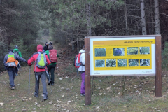 photo_41_2025-02-03_17-52-11