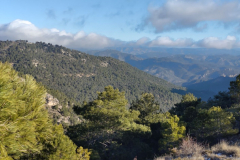 photo_44_2025-02-03_17-52-11